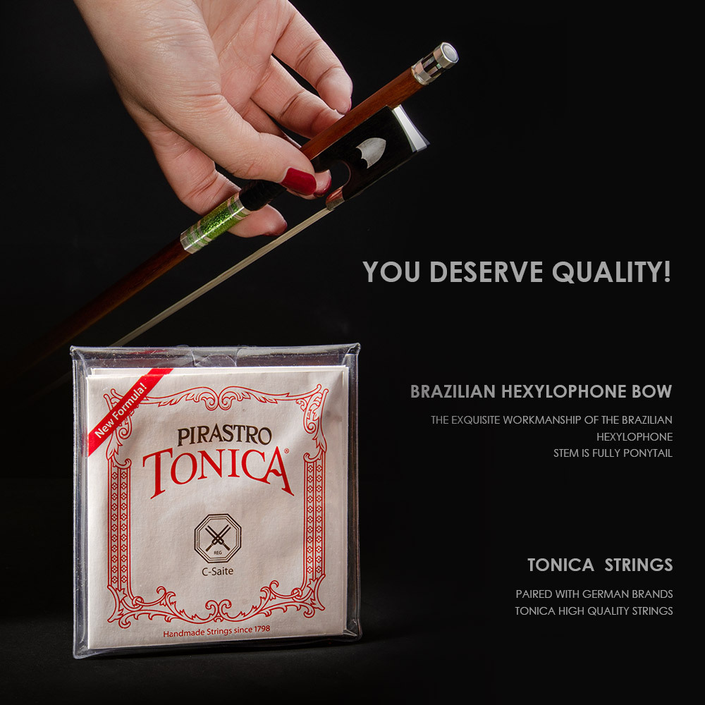 CHRISTINA S200A Best Brand Performing Violin Free Case String and Bow Spruce Face Material