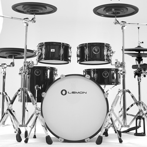 FREE SHIPPING TO USA Lemon drum electronic drum set T950 e drum