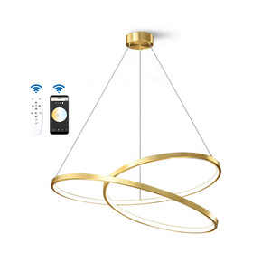 Golden shell color inner circular ring pendant lighting fixture with different housing colors