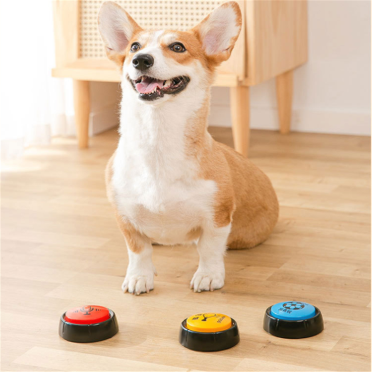 Funny pet dog training toys plastic talking recordable dog buttons for communication