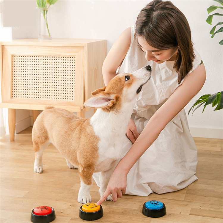 Funny pet dog training toys plastic talking recordable dog buttons for communication