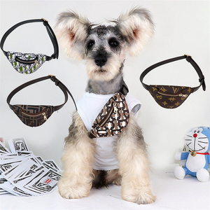 Foreign trade famous brand pet accessories jewelry messenger bag luxury designer travel small dog cat backpack