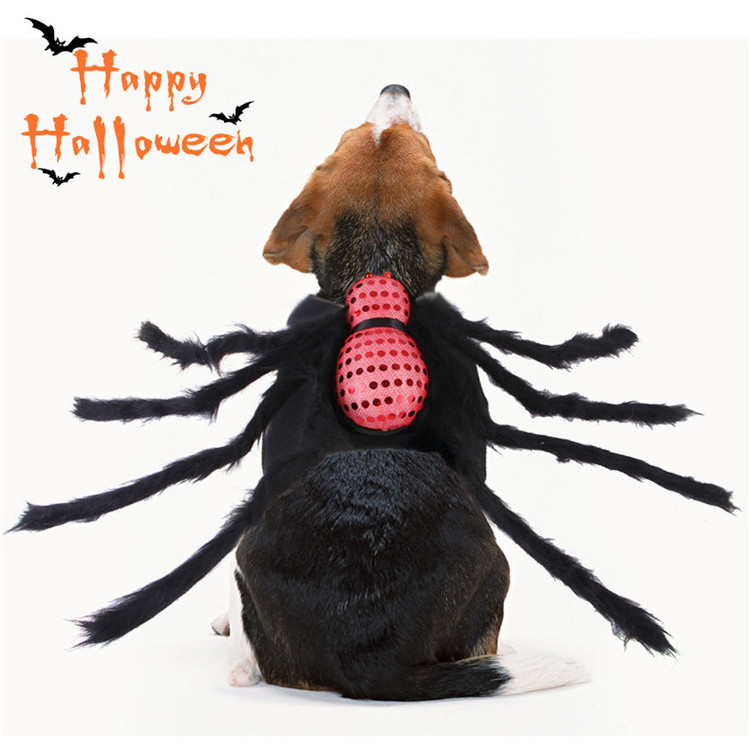 Good design pet accessories for festival fun dog spider harness Halloween clothing