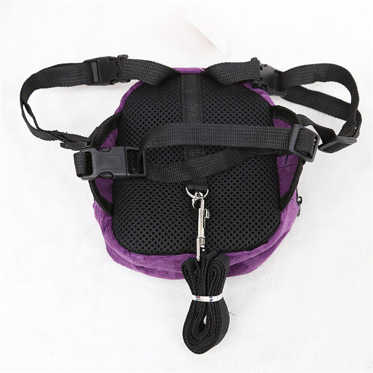 Outdoor travel luxury pet dog treat backpack designer dog harness backpack