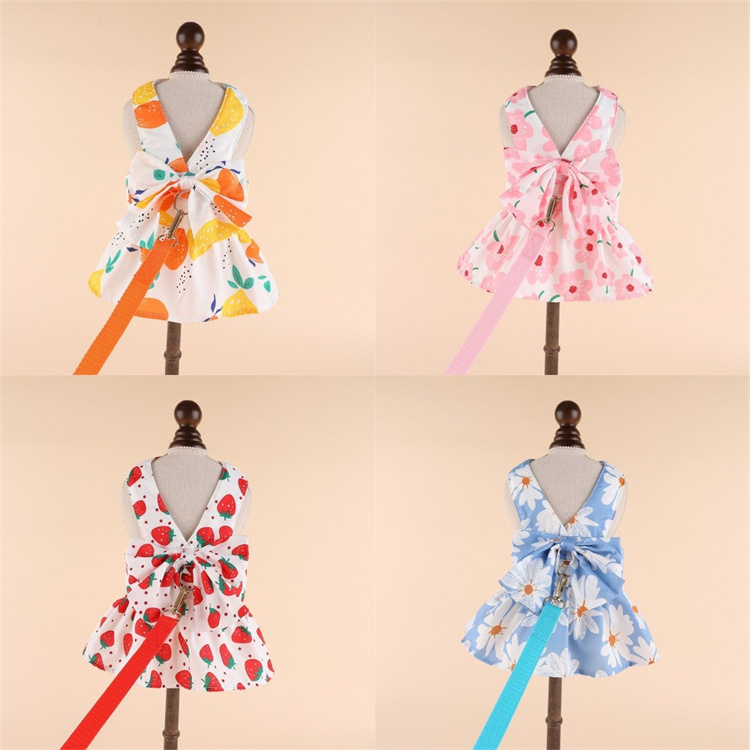 Butterfly Bubble Lace dog dress summer luxury pet clothes Small Dog Dress harness with matching leashes