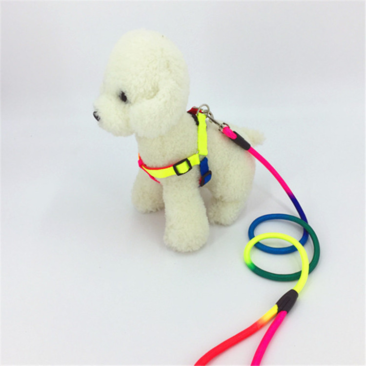 Factory wholesale colorful manufacturers custom adjustable nylon rainbow dog walking harness with leash