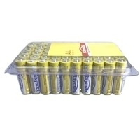 Raymax Hot Selling aa batteries oem Battery 1.5V  LR6 AA60  Plastic Box Package  Long life Alkaline Batteries