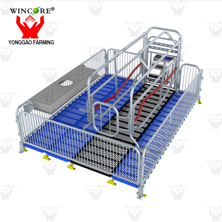 Pig House Farming Equipment Manufacturing Galvanizing 1.8*2.4m Single Sow Farrowing Crate For Sale