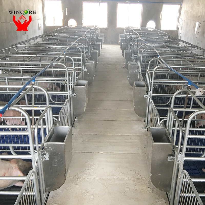 Pig House Farming Equipment Manufacturing Galvanizing 1.8*2.4m Single Sow Farrowing Crate For Sale