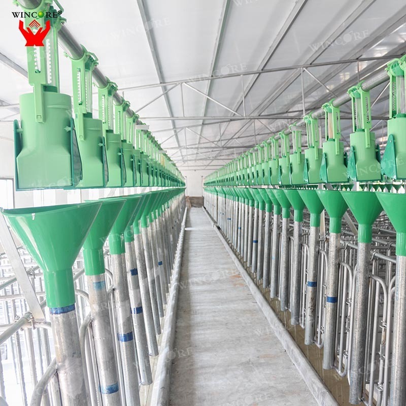 Pig farming equipment Sow Automatic feeder animal feeding line system