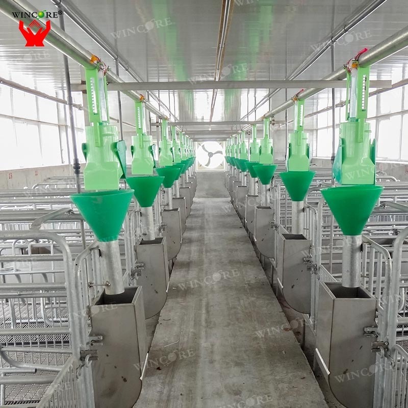 Pig farming equipment Sow Automatic feeder animal feeding line system