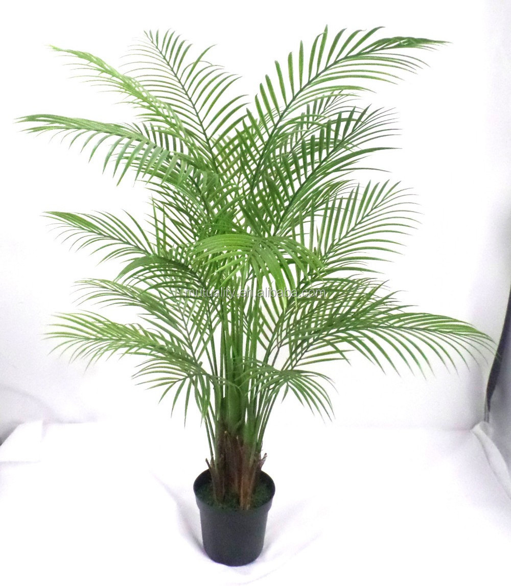 Customized size interior decoration green plant bonsai artificial kwai palm tree