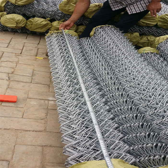 Wholesale Residential Commercial 4ft 5ft 6ft 7ft 8ft 10ft Galvanized Vinyl Coat chain link fence double swing gate