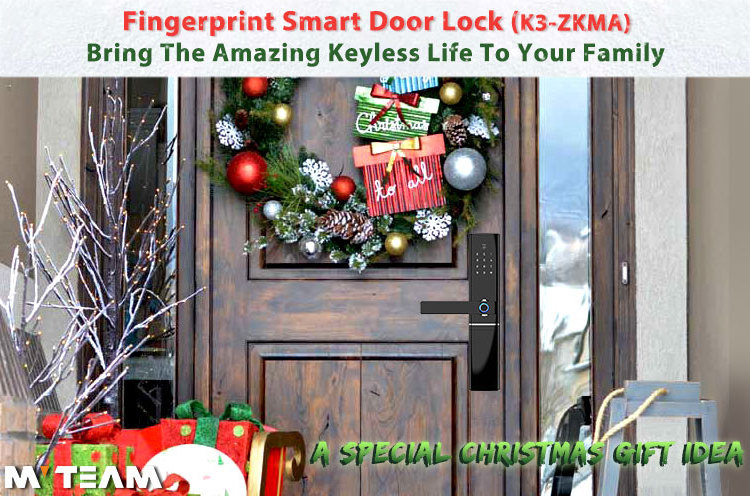 Home Office Hotel Airbnb Villa Keyless Digital Smart Door Lock Handle With Fingerprint  tuya APP Card Code  Key Unlock