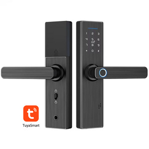 WiFi TTLock APP Smart Fingerprint Home Hotel Smart Door Lock Tuya NB-IOT Lock Small Size