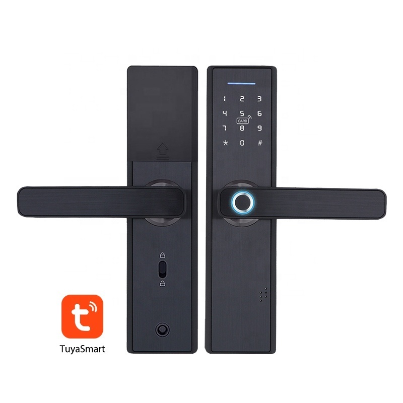 WiFi TTLock APP Smart Fingerprint Home Hotel Smart Door Lock Tuya NB-IOT Lock Small Size