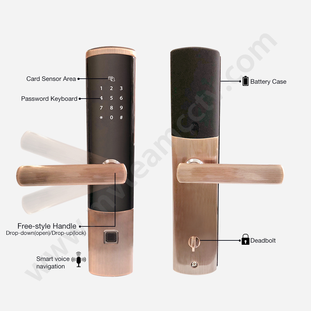 Smart Lock 2019 Commercial Biometric Hotel Finger Print  Safe Digital Door Lock Home with Keys,  Optional Pull or Push Handle