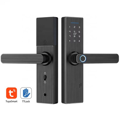 Smart Life TT Smart Door Lock Smart Deadbolt Lock Tuya Double Sided Fingerprint Door Lock With Scramble Code Easy Access Control