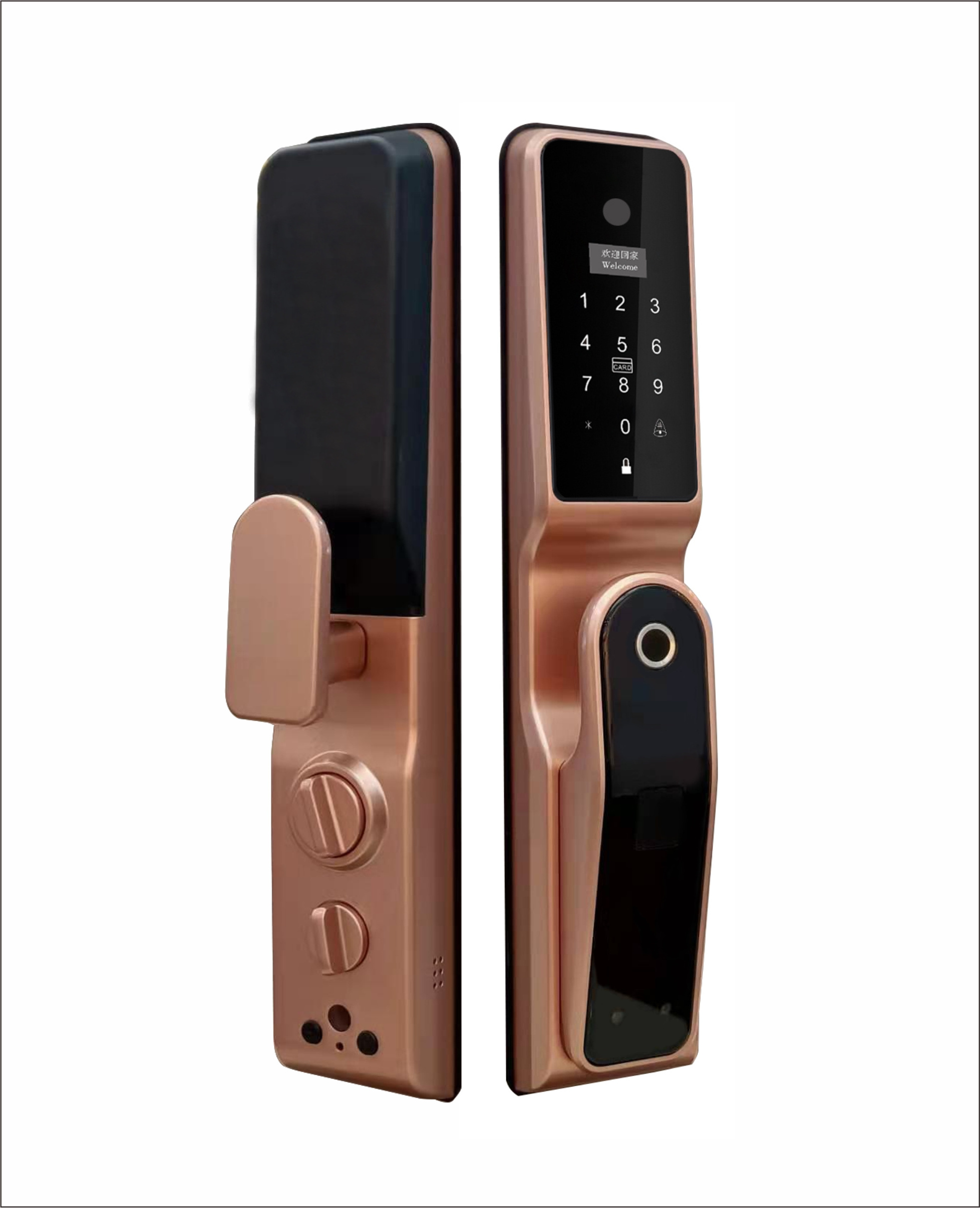 Wifi Tuya Face Recognition  Fully automatic Security Electric Digital door Lock electronic Smart Fingerprint Locks with Camera