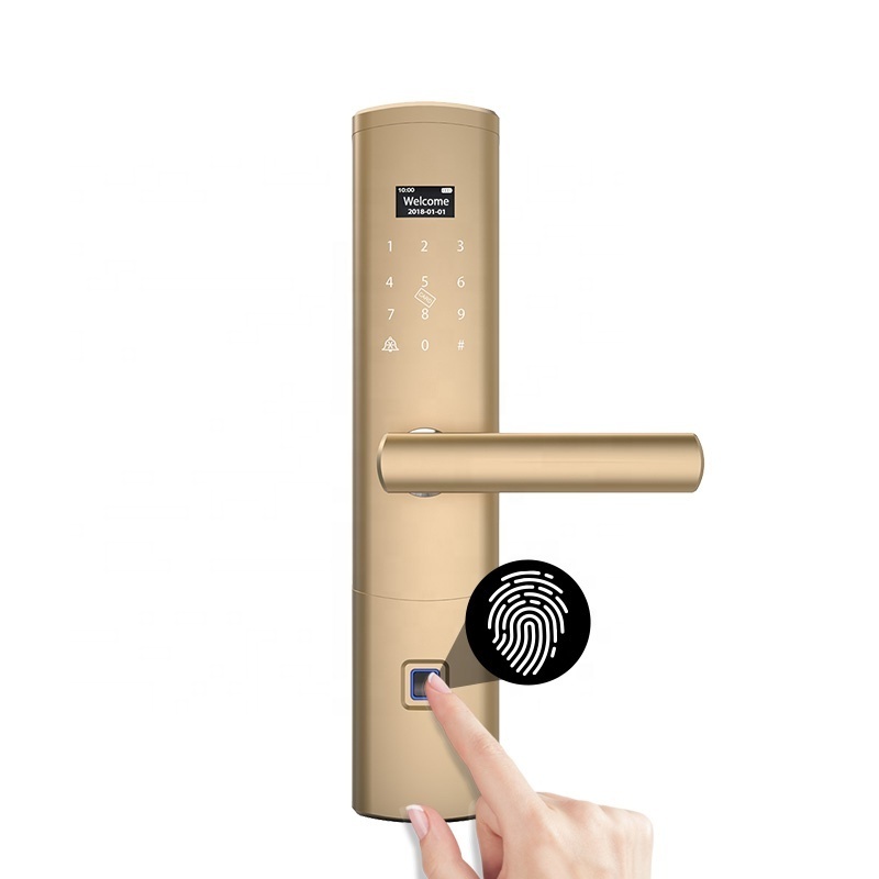 Residential Electronic Smart Fingerprint Front Door Lock Entry Door Lockset with Deadbolt