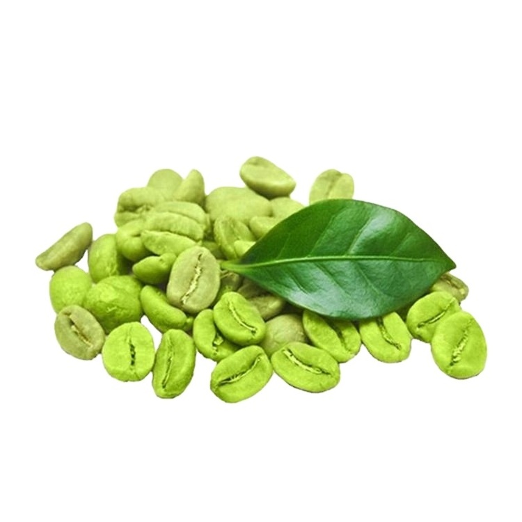 Natural weight loss raws green coffee bean extract 50% chlorogenic acid powder