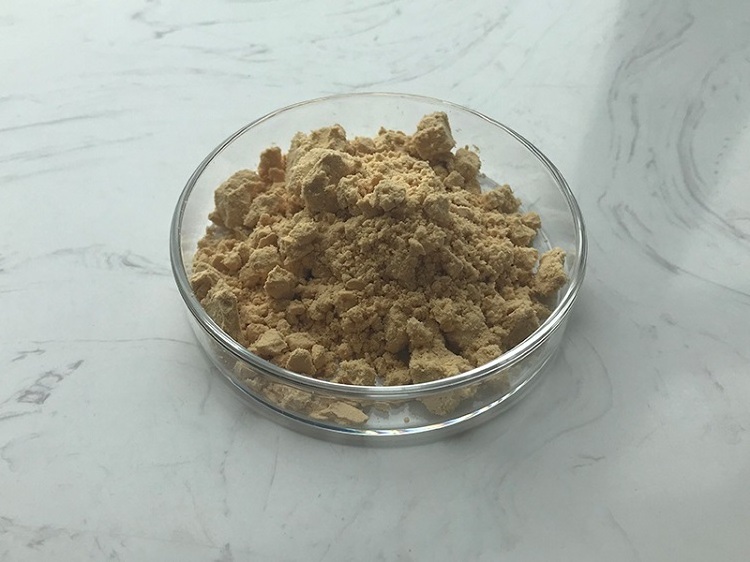 Natural docosahexaenoic acid dha algal oil schizochytrium dha powder