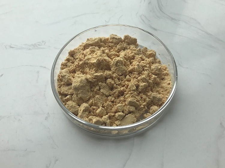 Natural docosahexaenoic acid dha algal oil schizochytrium dha powder