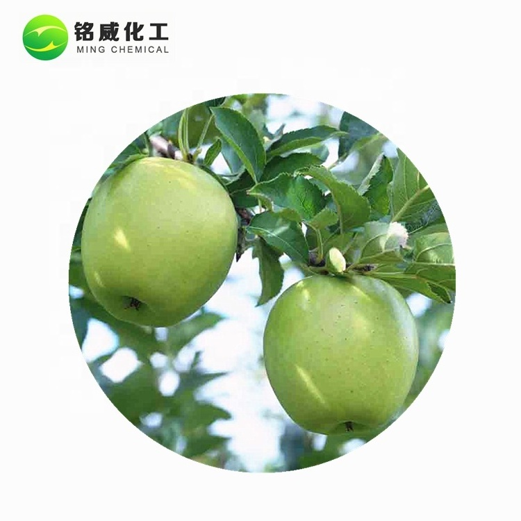 Bulk Unsweetened Spray Dried Green Apple Fruit Juice Powder