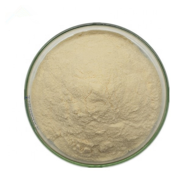 Natural docosahexaenoic acid dha algal oil schizochytrium dha powder