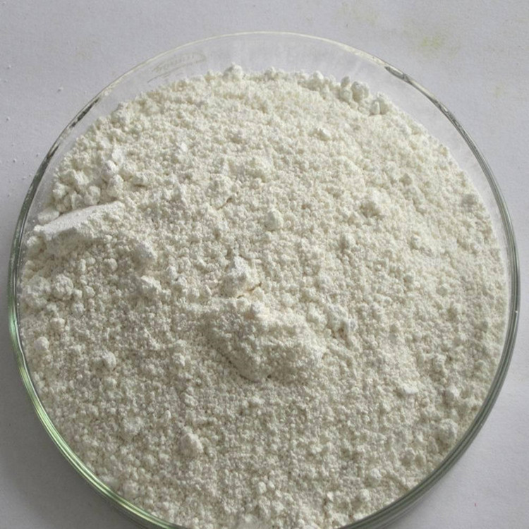 Bitter Orange Citrus Aurantium Extract Hesperidin Methyl Chalcone Hesperetin Powder