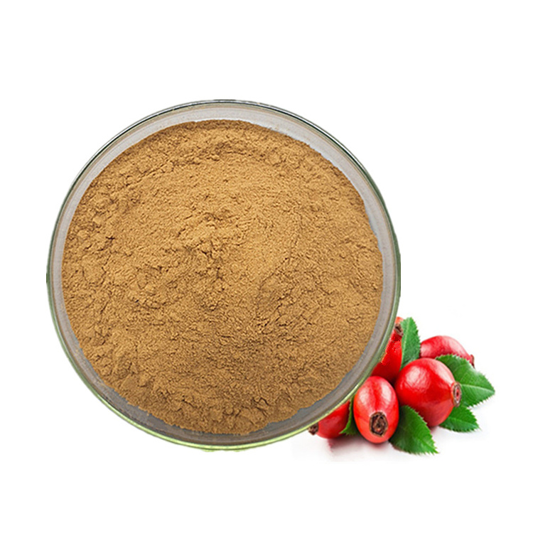 Health supplement rosehip seed extract rose hip powder organic rosehip extract powder