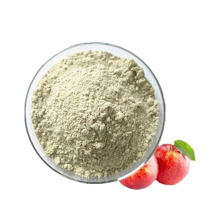 Bulk Freeze Fruit Powder Pure Natural Lyophilized Apple Fruit Powder