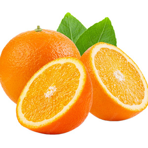 Fresh Orange Valencia Orange Naranja Mexico Fresh Valencia  Naval Orange