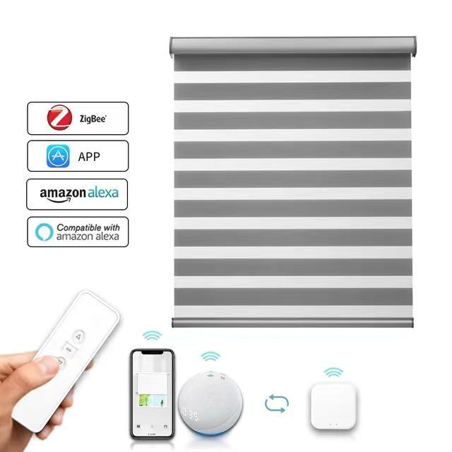 smart home decor window roller shades double strip horizontal interior electric Alexa motorized blackout zebra roller blinds