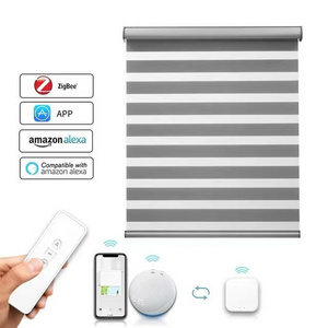 smart home decor window roller shades double strip horizontal interior electric Alexa motorized blackout zebra roller blinds