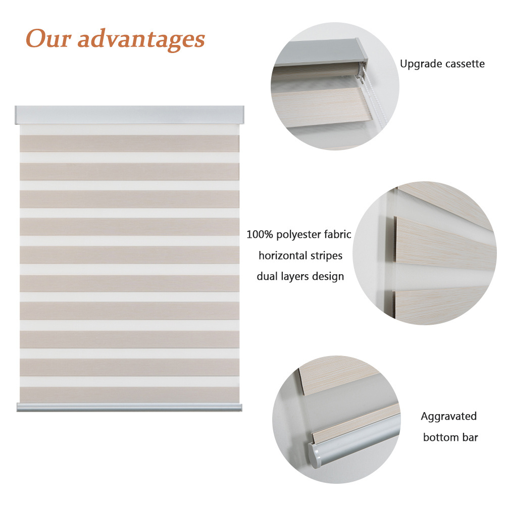 smart home decor window roller shades double strip horizontal interior electric Alexa motorized blackout zebra roller blinds