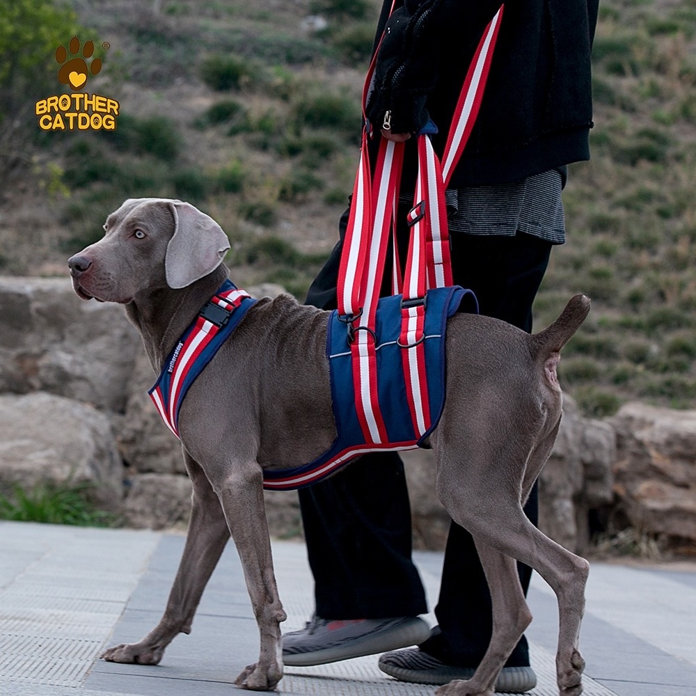 Factory Customized Bulk Discounted Senior Dogs Disabled Dogs Walking Difficulty Aid Belt