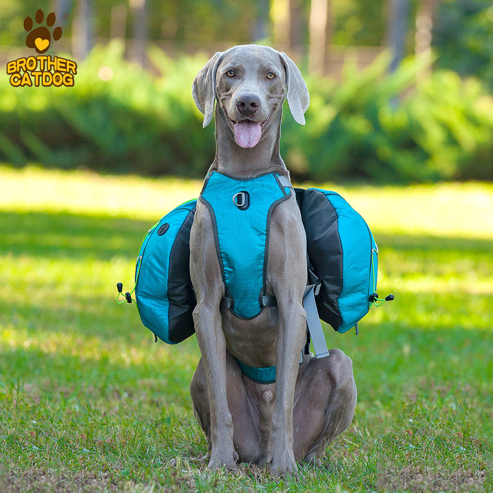 Logo Pet Products Dog Carrier Backpack Set Professional OEM Customized Sport Pet Cages, Carriers & Houses Sustainable Button