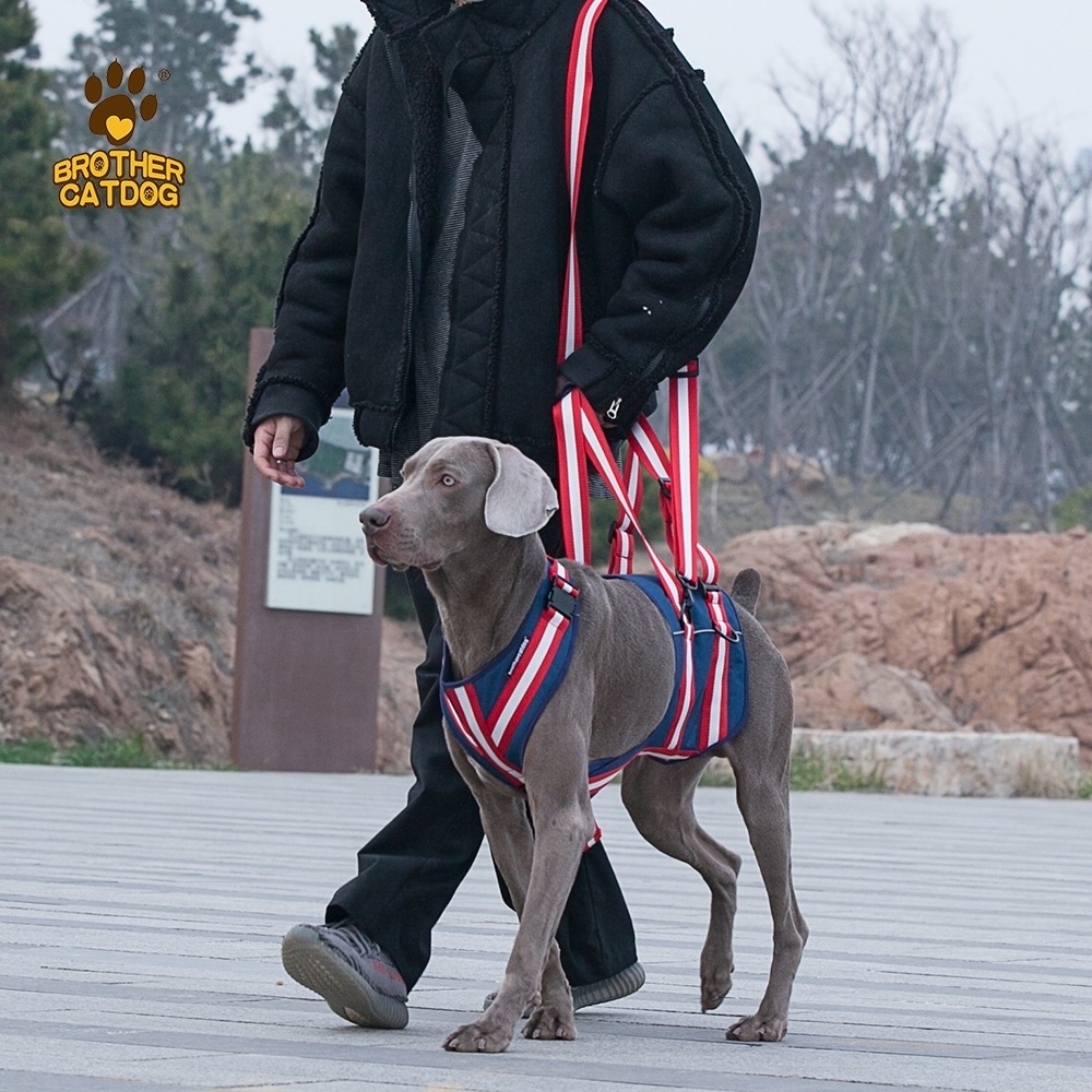 Factory Customized Bulk Discounted Senior Dogs Disabled Dogs Walking Difficulty Aid Belt