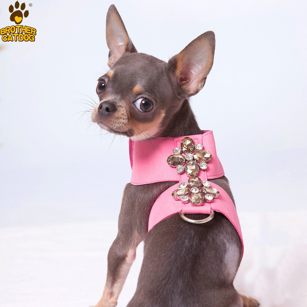 Small Kitten Cat Teddy dog accessories Soft Suede Fabric Fashion jewels puppy Dog Harness with leash set