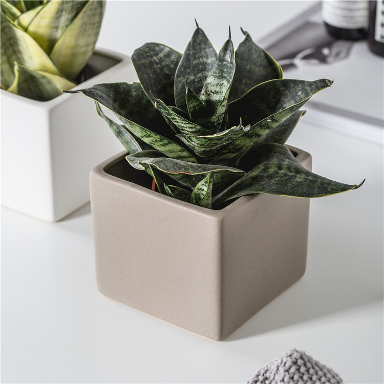 Cheap wholesale matte square shape live green succulent plants ceramic bonsai pot for gardening decoration