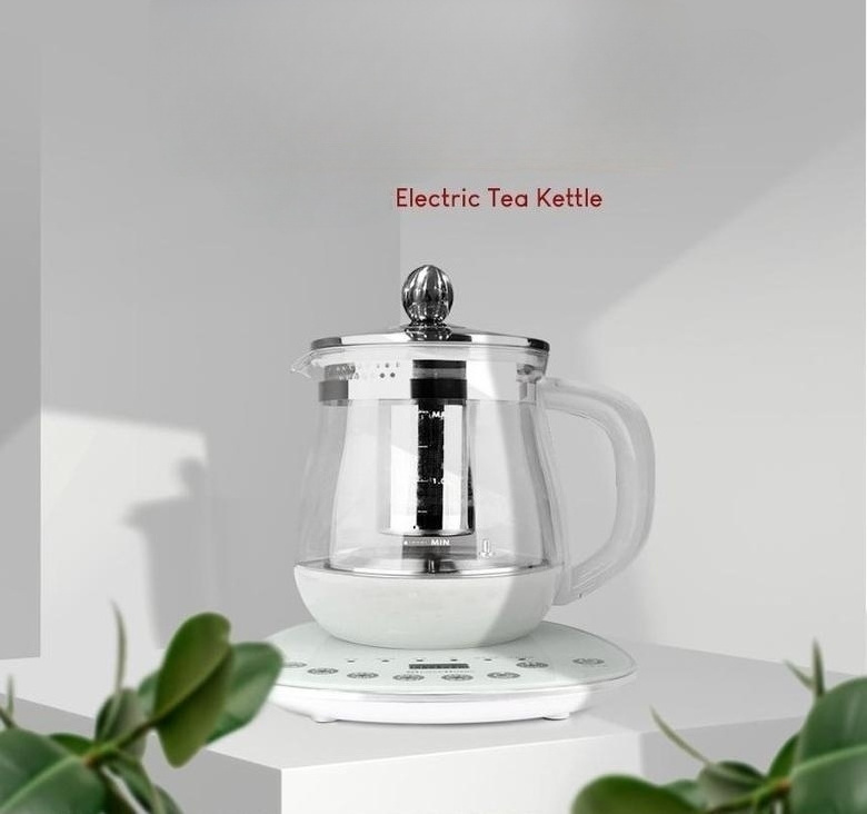 1.8L 800W FADA HOT SALE Travel 304SUS Glass With Temperature controller Electric Kettle With Filter Black Green White MXM-600