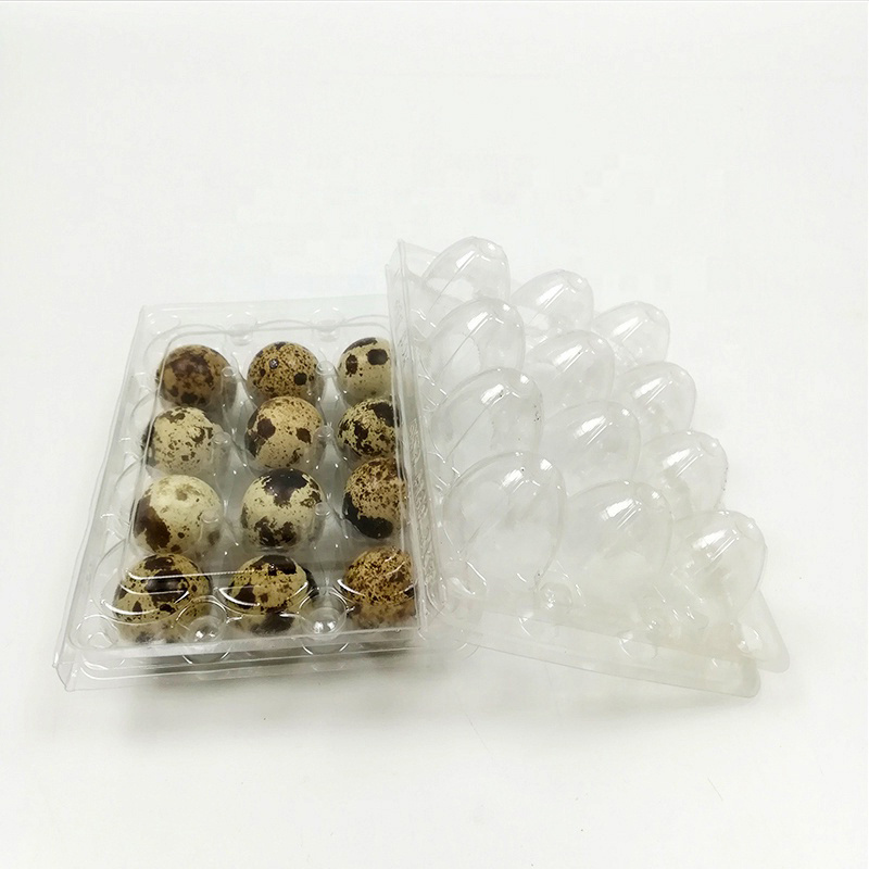 Customized wholesale PVC transparent blister packaging 12 holes plastic quail egg tray