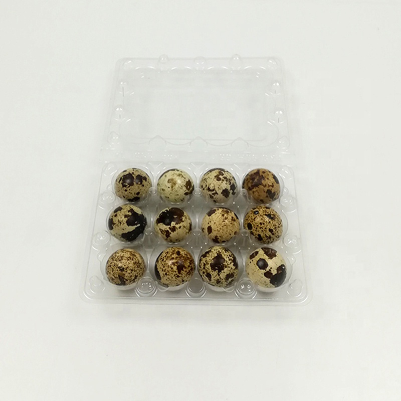 Customized wholesale transparent blister packaging 12 holes plastic quail egg tray