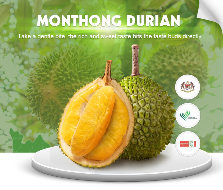 Frozen fruit Premium Quality Grade Vietnam Frozen Ri6/ Monthong Durians Fruit from Vietnam