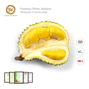 Frozen fruit Premium Quality Grade Vietnam Frozen Ri6/ Monthong Durians Fruit from Vietnam