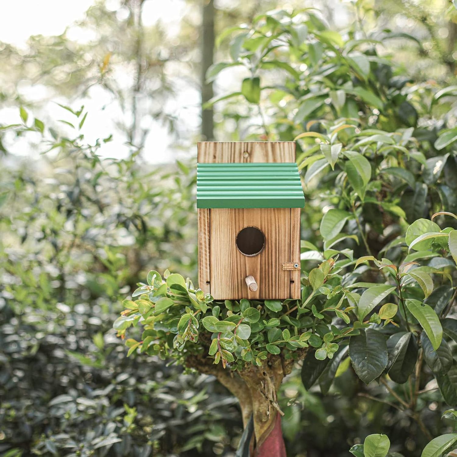 Customized wooden birdhouse Wood Bird House the owl house