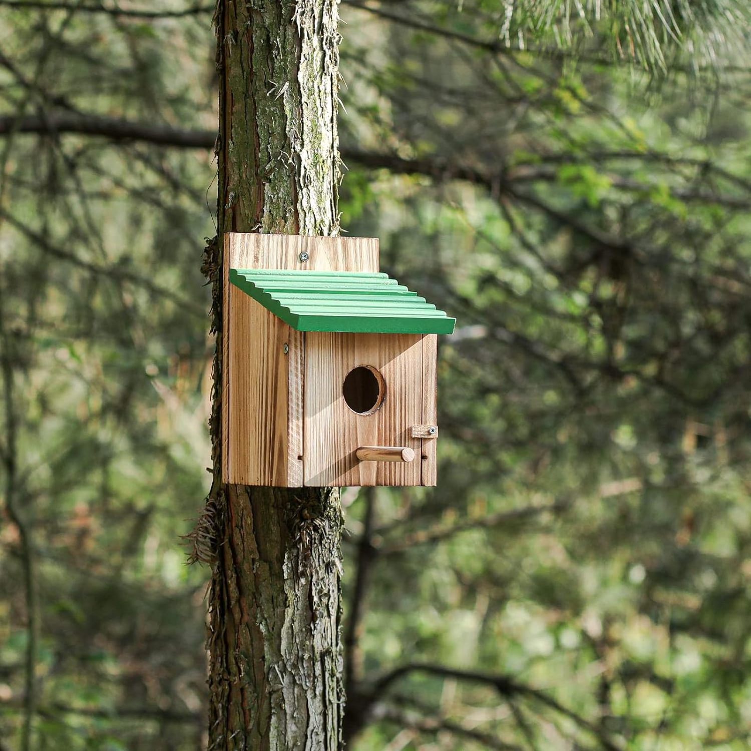 Customized wooden birdhouse Wood Bird House the owl house