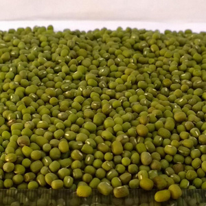 Best Seller Green Mung Beans 3.25mm up Myanmar Origin