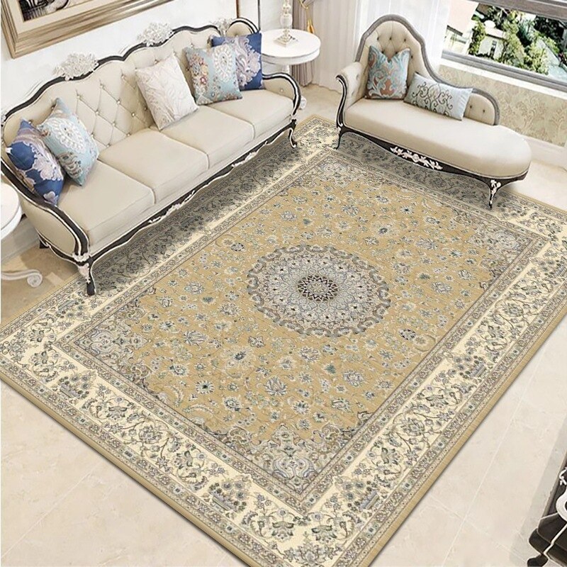 Modern Chinese Living Room Persian Carpet Simple Bedroom Decoration Area Rug Large Porch Door Mat Absorbent Non-slip Bath Mat